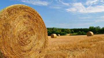 Ajánlatkérés biomassza tüzelésű kazánra